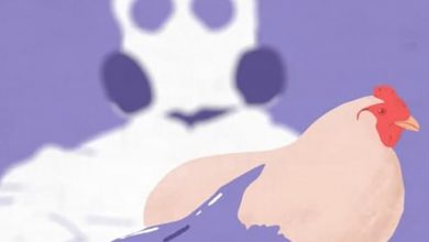 آنفولانزای پرندگان در حال گسترش است؛ هر آنچه باید بدانید