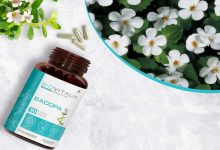 آیا باکوپا واقعاً معجزه میکند؟ بررسی یک مکمل محبوب برای تقویت حافظه