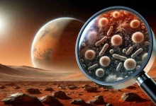 ابداع روش تازه برای کشف حیات فرازمینی: واداشتن میکروبهای بیگانه به جنبیدن