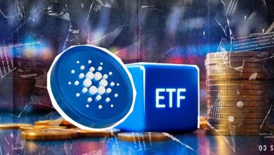 احتمال ۶۰ درصدی تأیید ETF کاردانو؛ آیا رشد انفجاری ۲۰۲۱ تکرار می‌شود؟
