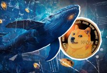 از راهاندازی تراست دوجکوین تا خرید ۶۰۰ میلیونی نهنگها؛ آیا DOGE به ۱ دلار میرسد؟