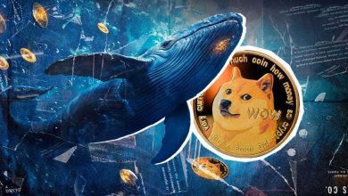 از راهاندازی تراست دوجکوین تا خرید ۶۰۰ میلیونی نهنگها؛ آیا DOGE به ۱ دلار میرسد؟