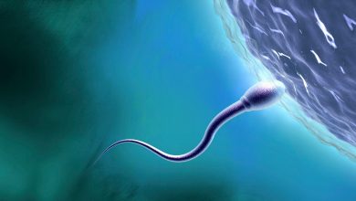 اسپرم پدران حامل آثاری از استرس دوران کودکی آن‌ها است