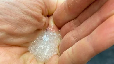 این اسلایم با فشردهشدن برق تولید میکند؛ پرکاربرد در رباتیک و پزشکی