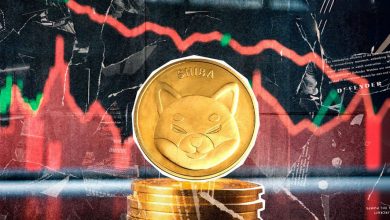 بحران فروش در بازار شیبا اینو؛ آیا SHIB از این سقوط جان سالم به در میبرد؟