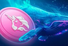 برداشت ۵۵ میلیون دلار UNI از صرافی‌ها! نهنگ‌ها برای جهش قیمت آماده می‌شوند؟