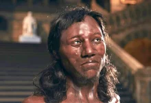 بیشتر اروپاییها احتمالاً تا کمتر از سههزار سال پیش پوست تیره داشتند