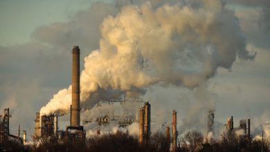 تاثیر منفی آلودگی هوا بر عملکرد مغز در زمینه بروز احساسات و تمرکز