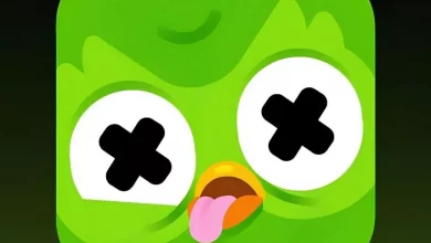 جغد معروف دولینگو از دنیا رفت؛ کمپین بازاریابی محبوب‌ترین اپ یادگیری زبان و واکنش‌ها به آن