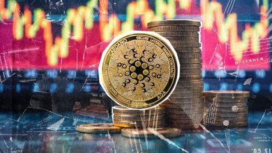 جهش ۴۶۶ درصدی حجم معاملات کاردانو؛ چه چیزی در پس این رشد غیرمنتظره نهفته است؟