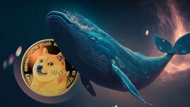 خروج نهنگ‌ها از بازار دوج‌کوین؛ ۲۰۰ میلیون DOGE روانه بایننس شد!