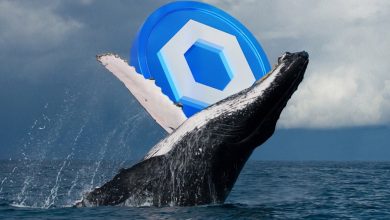 خروج نهنگ‌ها از بازار چین‌لینک! زنگ خطری برای ریزش قیمت یا فرصتی برای خرید؟