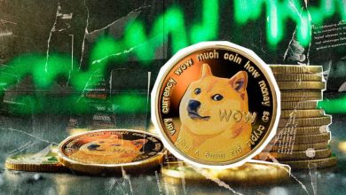 خریدهای سنگین نهنگ‌ها؛ آیا دوج‌ کوین از سقوط نجات پیدا می‌کند؟