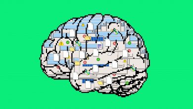دستاورد عجیب: توسعه هوش مصنوعی رقیب OpenAI در ۲۶ دقیقه با کمتر از ۵۰ دلار!
