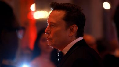 دسترسی کامل تیم ایلان ماسک به سیستمهای وزارت خزانهداری؛ سناتور آمریکایی هشدار داد