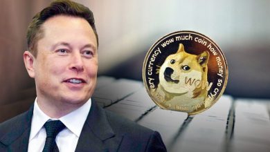 راه‌اندازی وب‌سایت رسمی DOGE؛ تحلیلگران بازار منتظر رشد بزرگ دوج‌کوین هستند!