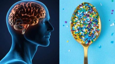 ریزپلاستیکها جریان خون را در مغز مسدود میکنند