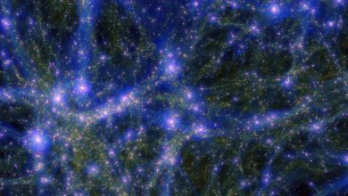 ستارهشناسها بزرگترین جسم شناختهشده در کیهان را شناسایی کردهاند