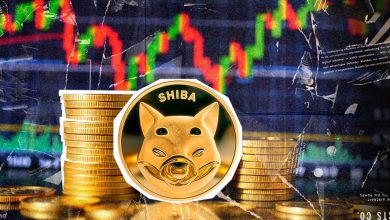 شیبا اینو در آستانه حذف یک صفر؟ سیگنالهای خرید امیدها را زنده کرد!