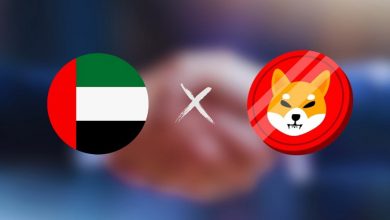 شیبا اینو و امارات دست همکاری دادند؛ آغاز عصر جدید بلاکچین در سطح ملی!