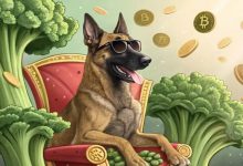 غوغایی جدید در دنیای کریپتو؛ بروکلی، سگ CZ ستاره جدید میمکوینها شد!