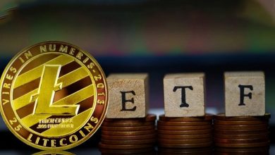 لایت‌کوین آماده یک جهش بزرگ! تأیید ETF، کلید حرکت LTC به سمت ۵۰ هزار دلار؟