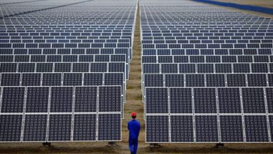 مایکروسافت با ۴۰۰ مگاوات انرژی خورشیدی، هوش مصنوعی خود را سبزتر میکند