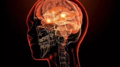 محققان مکانیسم مغز برای غلبه بر ترس را کشف کردند؛ راهی برای کنترل اضطراب‌ها