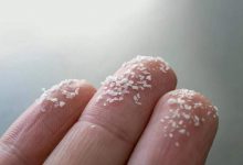 مغز انسان در حال پر شدن از میکروپلاستیک‌ها است