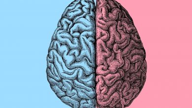 مغز دختران و پسران از بدو تولد با هم متفاوت است