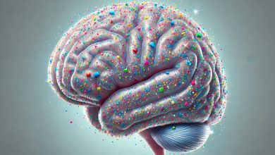 میزان تجمع میکروپلاستیکها در مغز بیشتر از کبد و کلیه است؛ آیا باید نگران باشیم؟