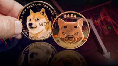 میم‌کوین‌ها هم از سقوط بازار در امان نماندند؛ دوج‌کوین و شیبا زیر فشار شدید!