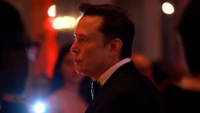 نظر ایلان ماسک درباره زندگی بدون مرگ چیست؟