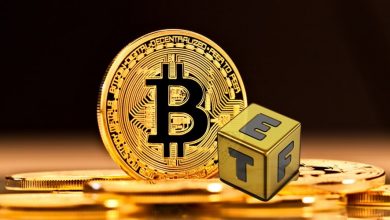 نگهداری شخصی بیتکوین یا سرمایهگذاری در ETFها؛ انتخاب تحلیلگر مطرح کدام است؟