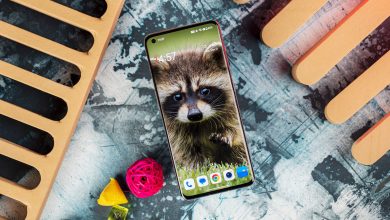 وانپلاس ۱۳ مینی احتمالا با دو دوربین ۵۰ مگاپیکسلی در راه است