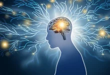 کشف مدار مغزی که میتواند به توسعه داروهای رفع اضطراب بدون عوارض جانبی منجر شود