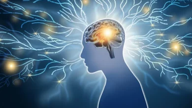 کشف مدار مغزی که می‌تواند به توسعه داروهای رفع اضطراب بدون عوارض جانبی منجر شود