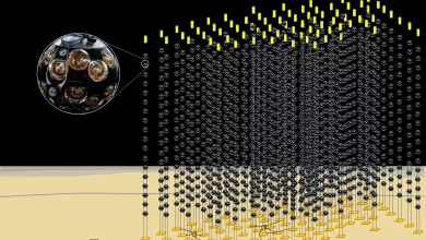 کشف پرانرژیترین نوترینوی شناختهشده روی زمین در اعماق دریای مدیترانه