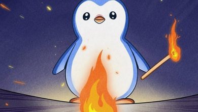 ۱۲ میلیارد پاجی پنگوئنز در آتش سوخت، ولی قیمت در سراشیبی است! چرا؟